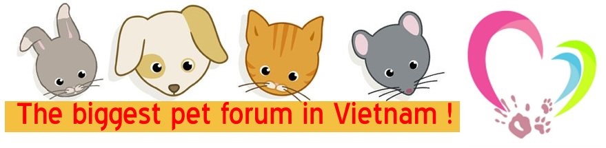 Yêu Thú Cưng - Vietnam's Pet Forum